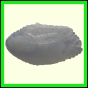 cynneb_1729_b_002