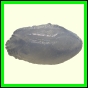 cynneb_1730_b_002