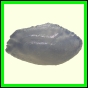 cynneb_1732_b_002