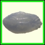 cynneb_1733_b_002