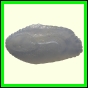 cynneb_1737_a_001