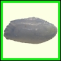 cynneb_1737_b_001