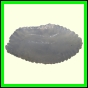 cynneb_1747_b_002