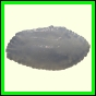 cynneb_1749_b_002
