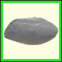 cynneb_1750_a_001