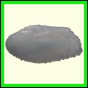 cynneb_2301_a_001