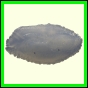 cynneb_2303_a_001