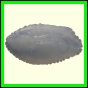 cynneb_2303_b_001