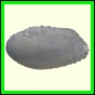 cynneb_2342_b_001