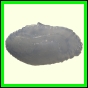 cynneb_2343_a_001