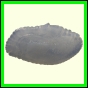 cynneb_2343_b_001