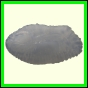 cynneb_2348_a_001