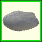 cynneb_2349_a_001