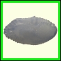 cynneb_2350_a_001