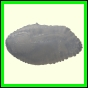 cynneb_2350_b_001