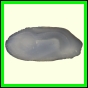 cynneb_745_a_002