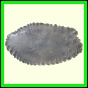 cynneb_784_a_002