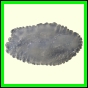 cynneb_784_b_003