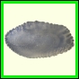 cynneb_785_b_002