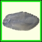 cynneb_786_a_002