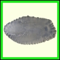 cynneb_787_a_002