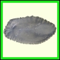 cynneb_787_b_003