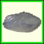 cynneb_788_a_002