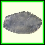 cynneb_789_a_002