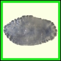 cynneb_789_b_002