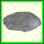 cynneb_790_b_003