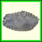 cynneb_791_b_002