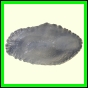 cynneb_792_a_002