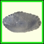 cynneb_793_a_002