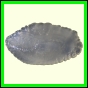 cynneb_794_b_003