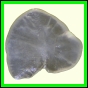 cypvar_1083_b_001