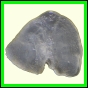 cypvar_1088_b_003