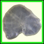 cypvar_1090_b_003