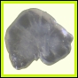 cypvar_1094_b_003