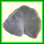 cypvar_2235_a_001