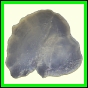 cypvar_2237_b_002