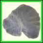 cypvar_2256_a_001