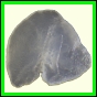 cypvar_2257_a_003
