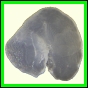 cypvar_2257_b_001