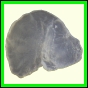 cypvar_2260_a_001