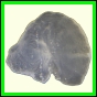 cypvar_2260_b_002