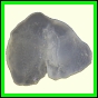 cypvar_2262_b_002
