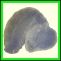 cypvar_2263_b_002