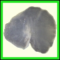 cypvar_2264_b_002