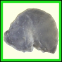 cypvar_2265_b_002