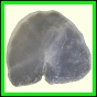 cypvar_2267_b_002